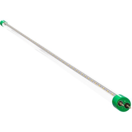 Westgate LED T8 4FT , 15W , 1800 LM , 5000K , CLEAR GLASS , TYPE A+B , , UL LISTED , DLC, NON DIMMABLE, PK 36 T8-EZ6-GS-4FT-18W-30K-C